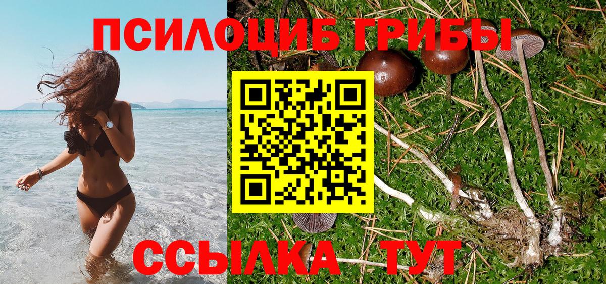 Псилоцибиновые грибы прущие грибы Балашиха